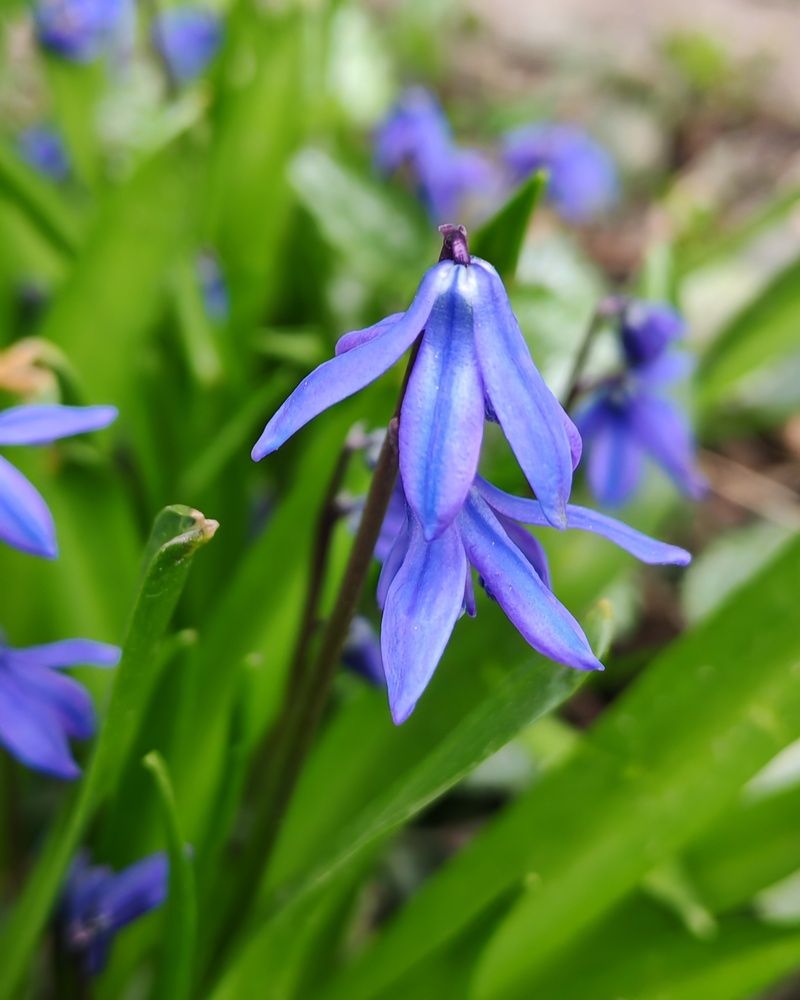 Photograph by Альбина Майкова