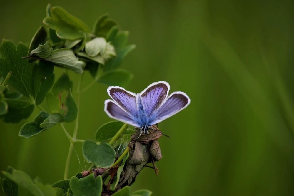 Photograph by Марина Мишутина