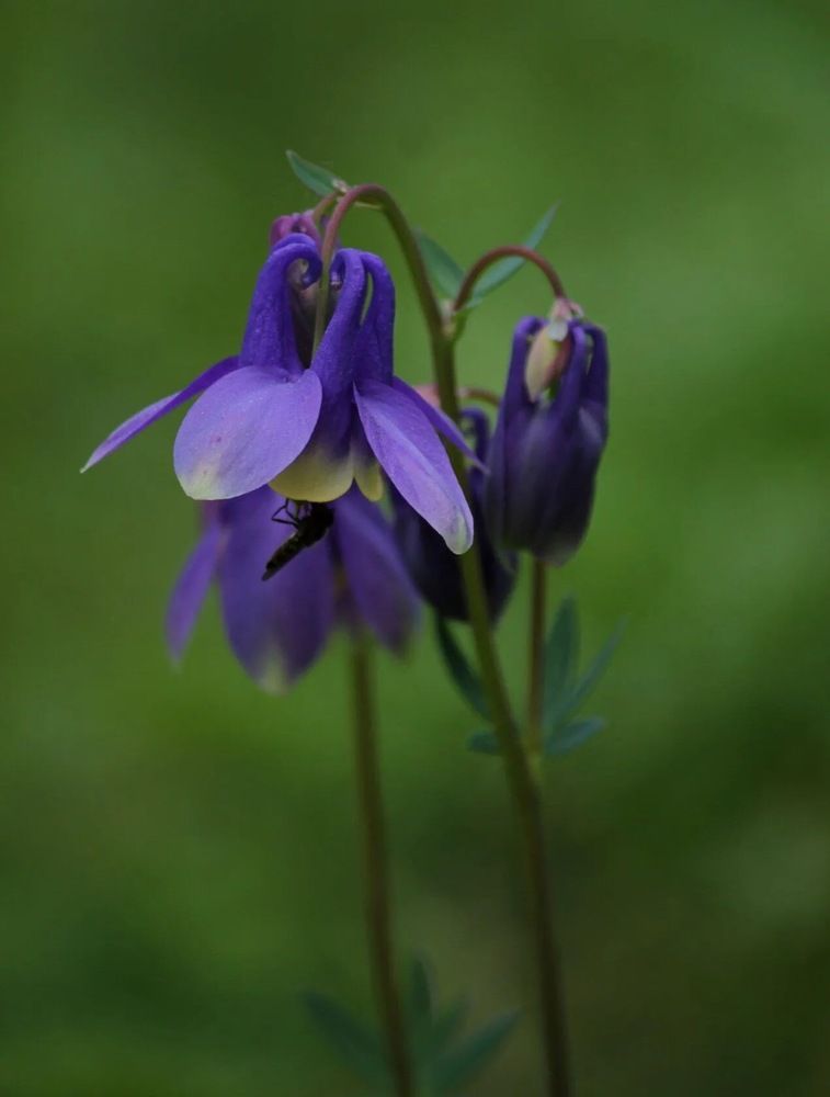 Photograph by Марина Мишутина
