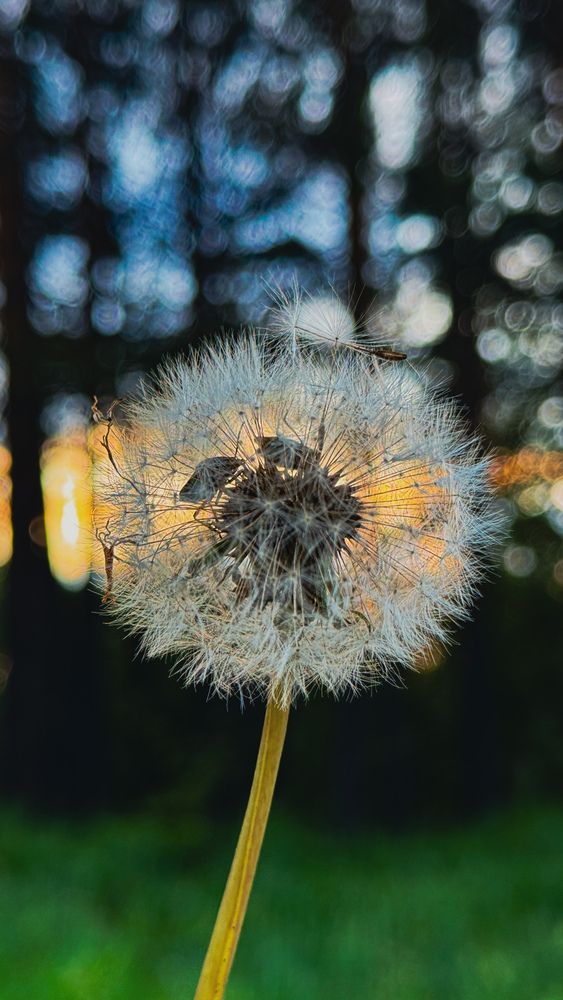 Photograph by Марина Мишутина