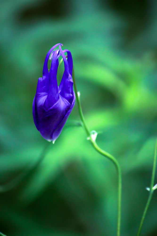 Photograph by Марина Мишутина