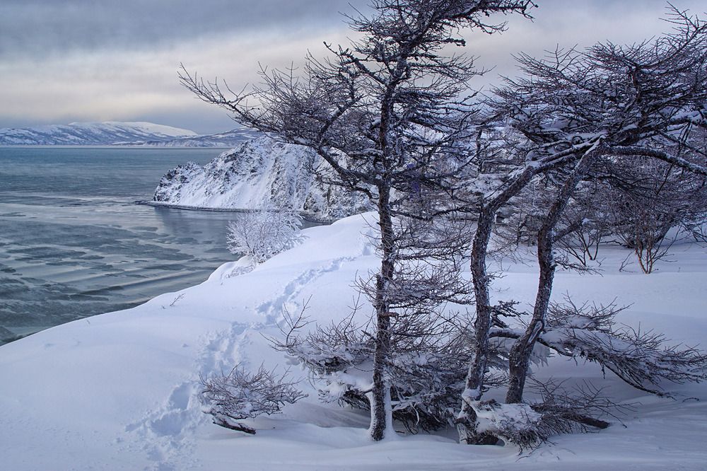 Photograph by Светлана Гореликова