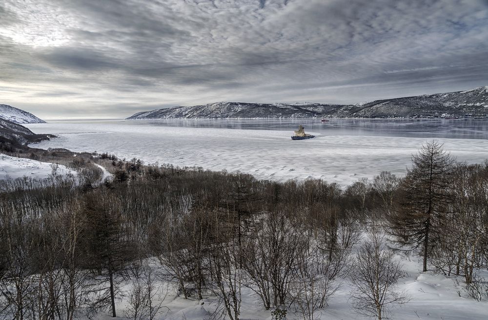 Photograph by Светлана Гореликова