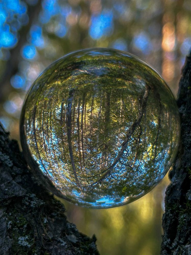 Photograph by Марина Мишутина