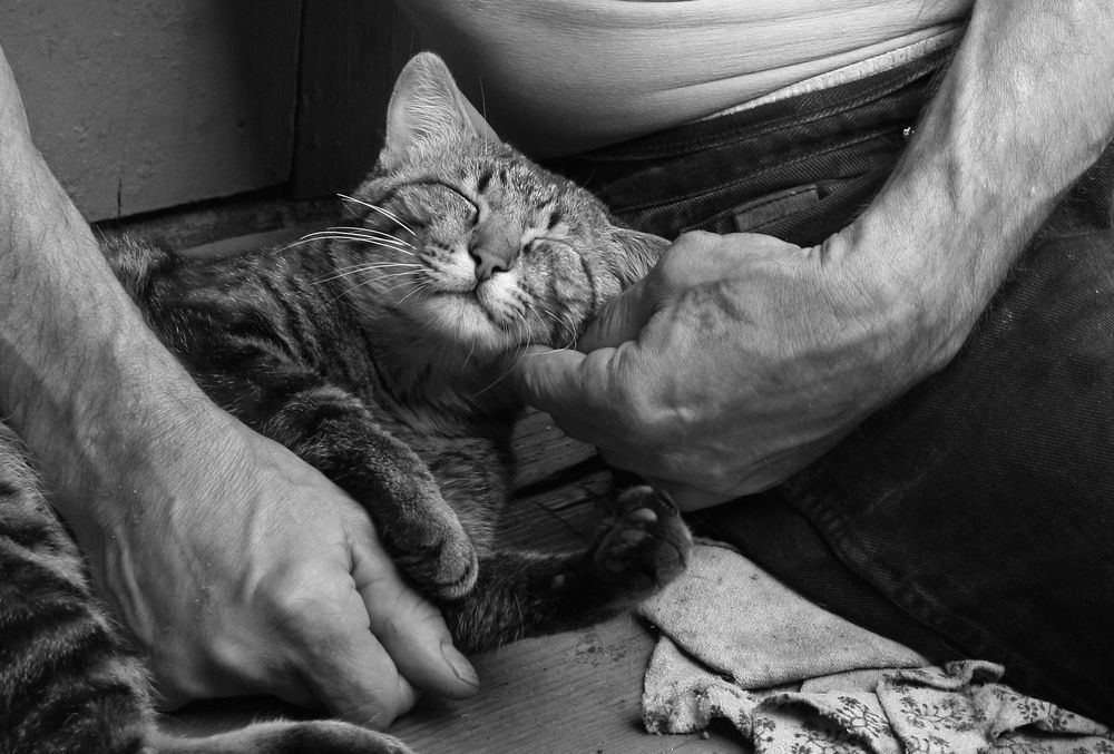 Photograph by Владимир Сафронов