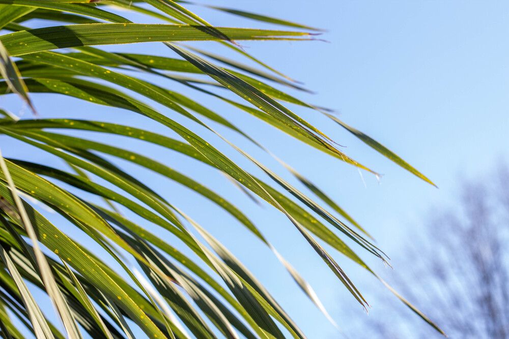 Фотография автора Angelina Pirtina