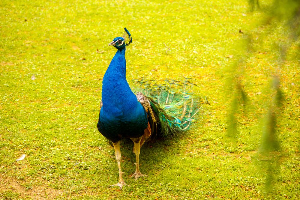 Фотография автора Angelina Pirtina