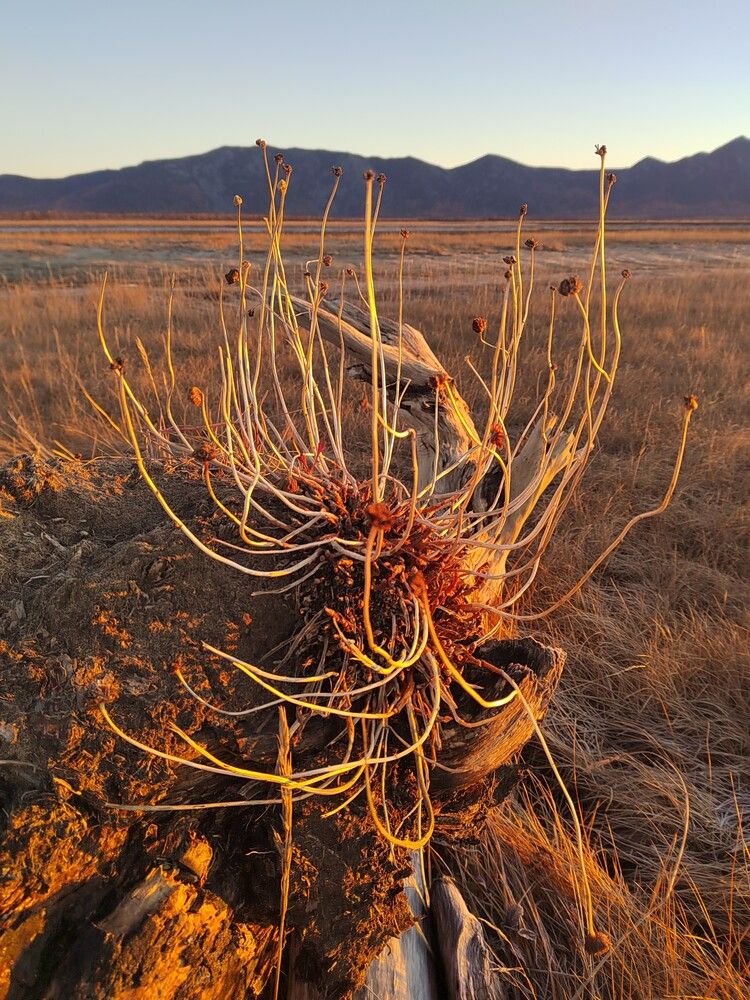 Photograph by Хазан Сергей