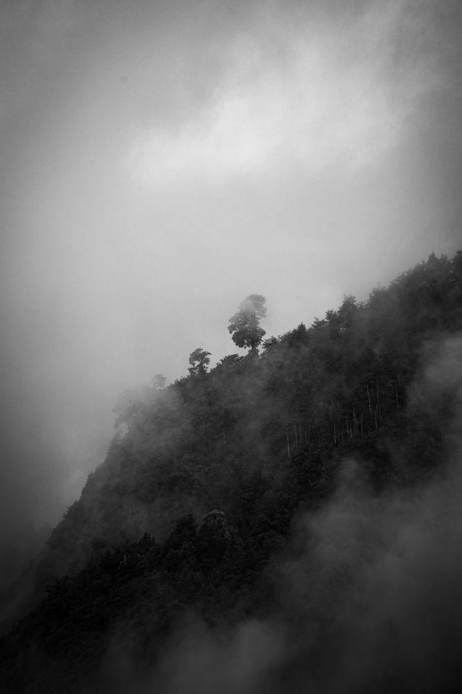 Фотография автора Gabriel Ruiz Maureira