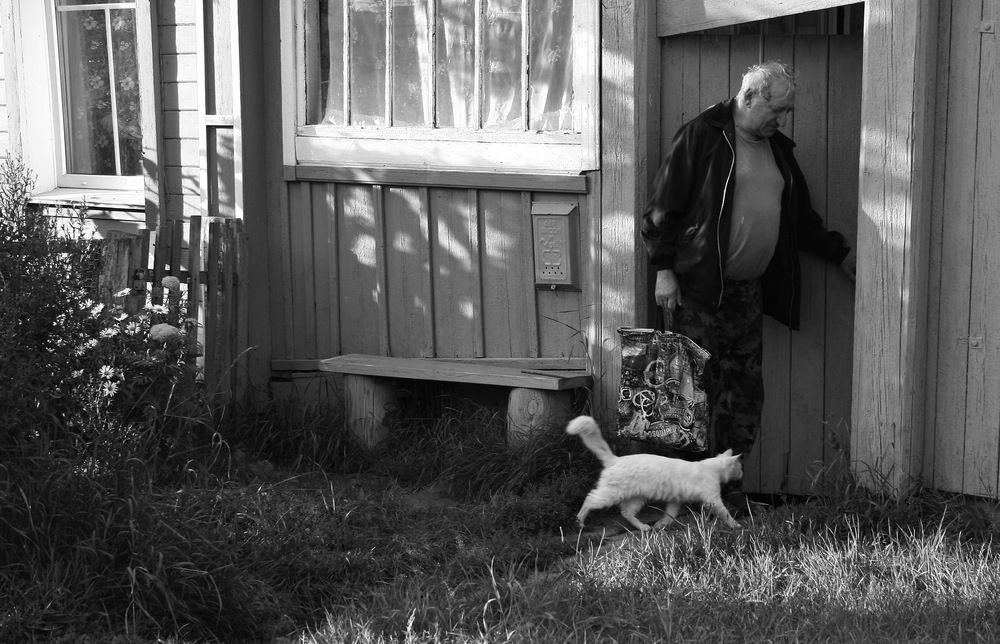 Photograph by Владимир Сафронов