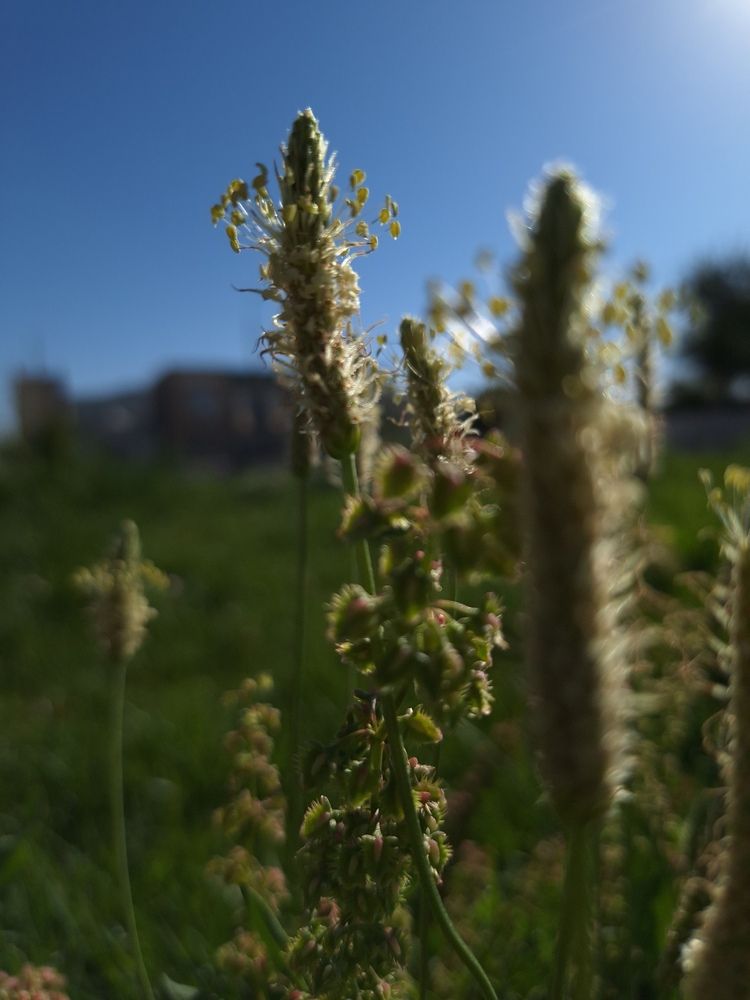 Фотография автора Elena Safarova