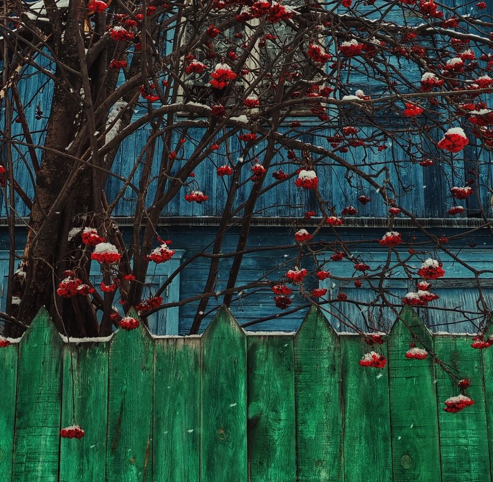 Photograph by Юлия