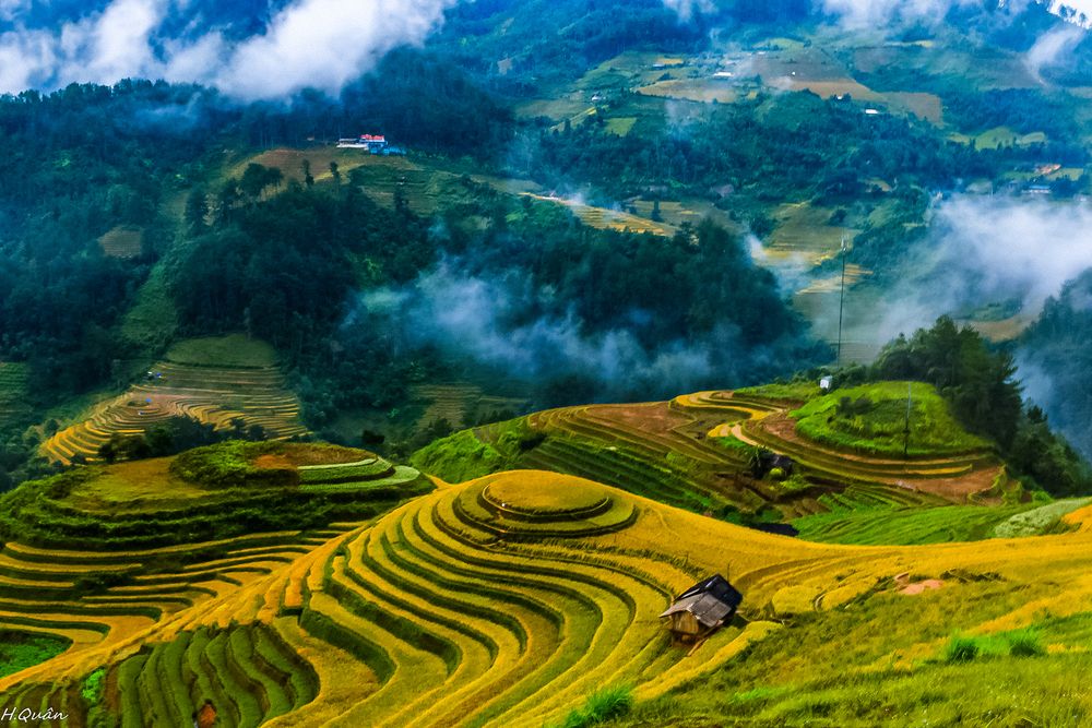 Фотография автора QUAN NGUYEN HUNG