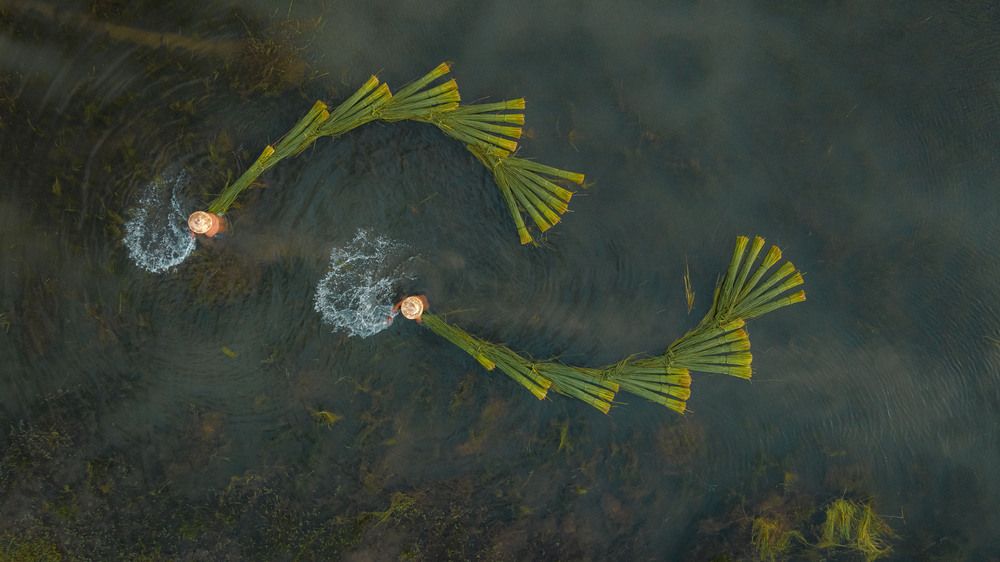 Photograph by QUAN NGUYEN HUNG