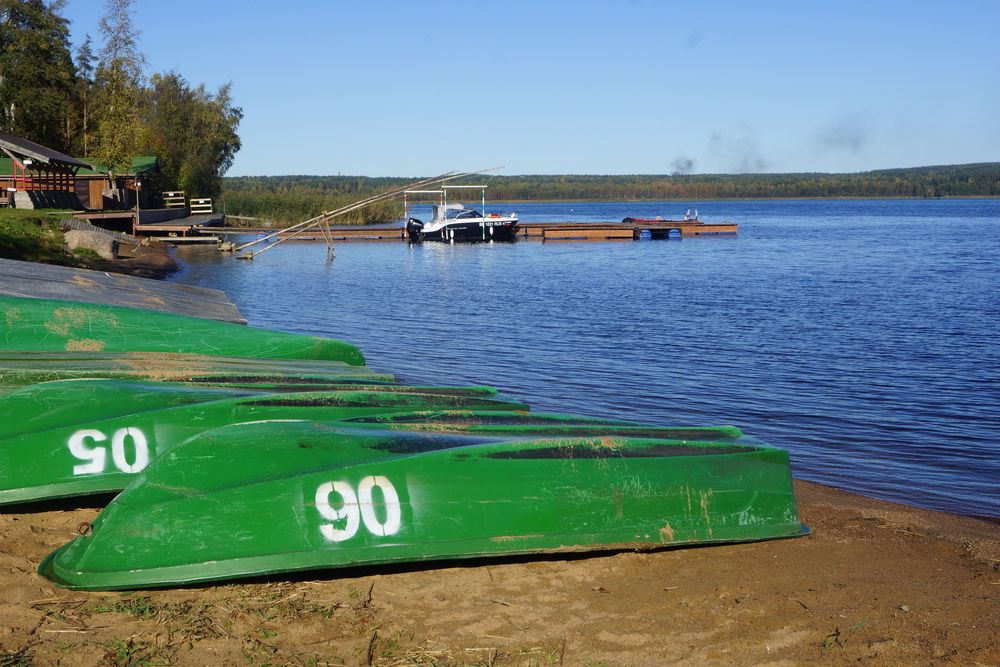 Photograph by Алла Бойко