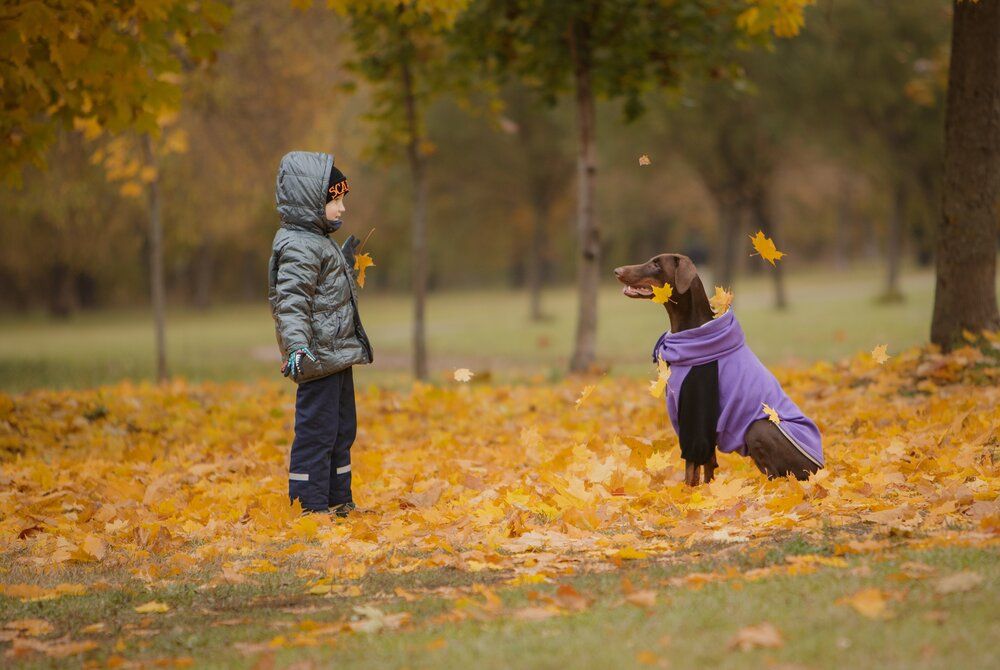 Photograph by Мария Клещенко