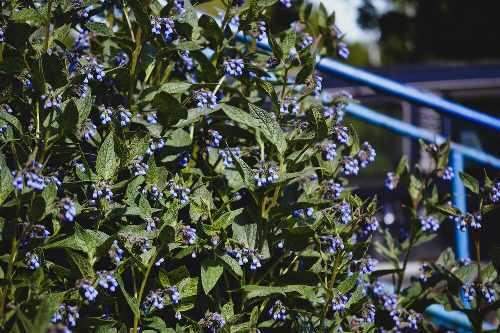 Photograph by Ения Семина