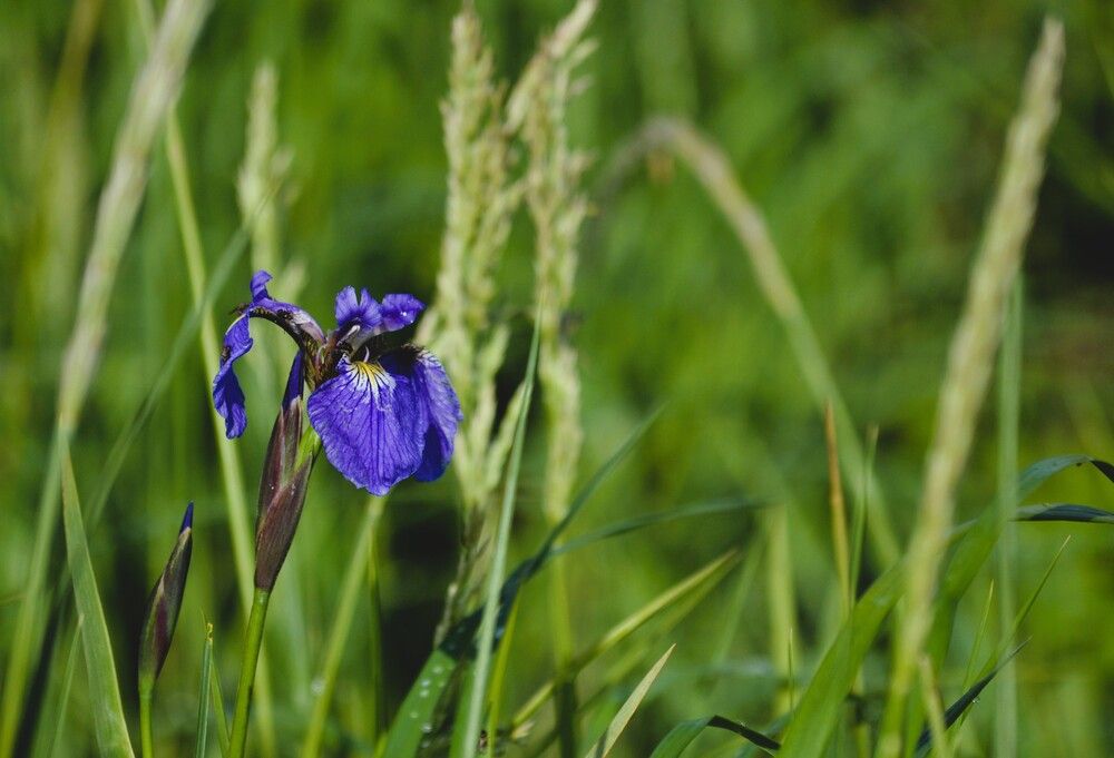 Photograph by Ения Семина