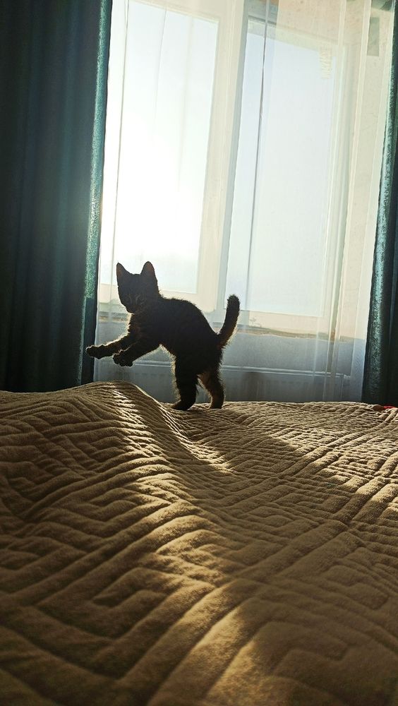 Photograph by Анна