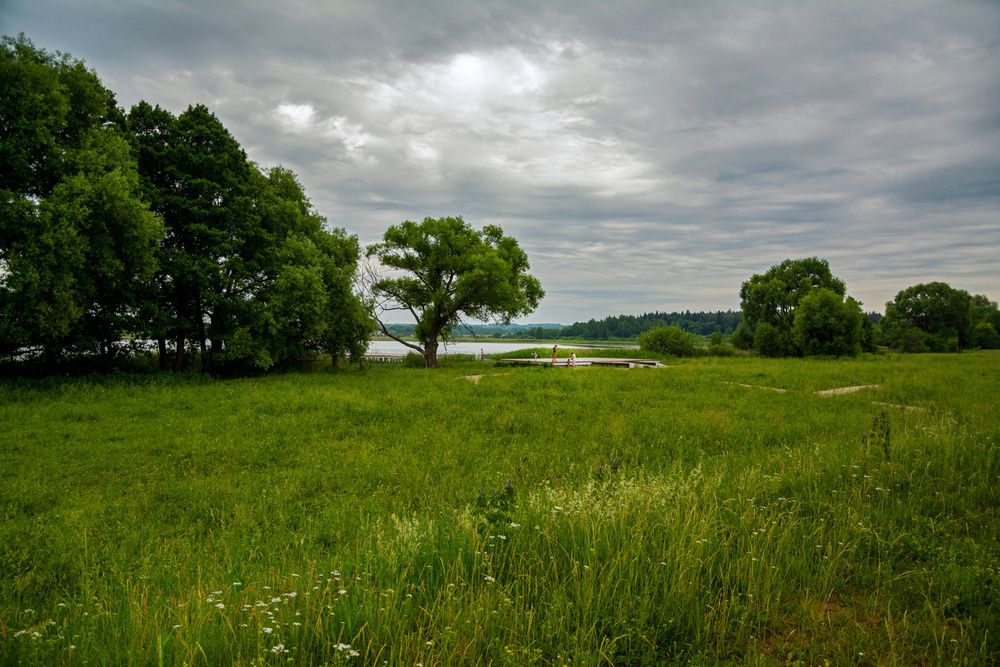 вечерние купание