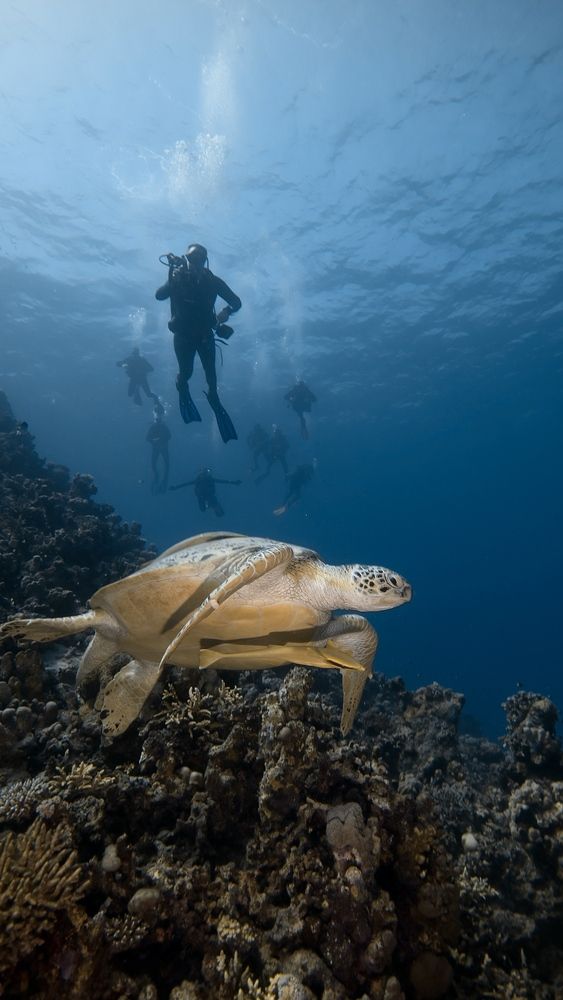 Photograph by Vadim Sayfullin