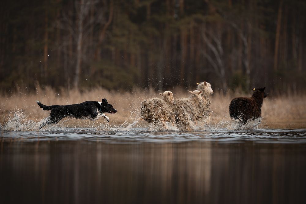Photograph by Ольга Легенькая