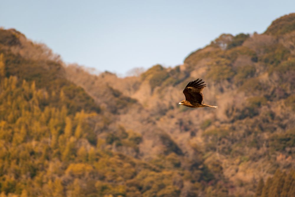 Photograph by PENG HAOSEN