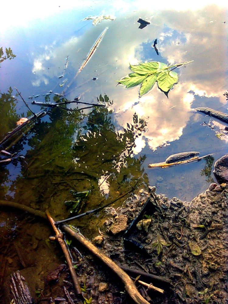 Небо, грязь и листик