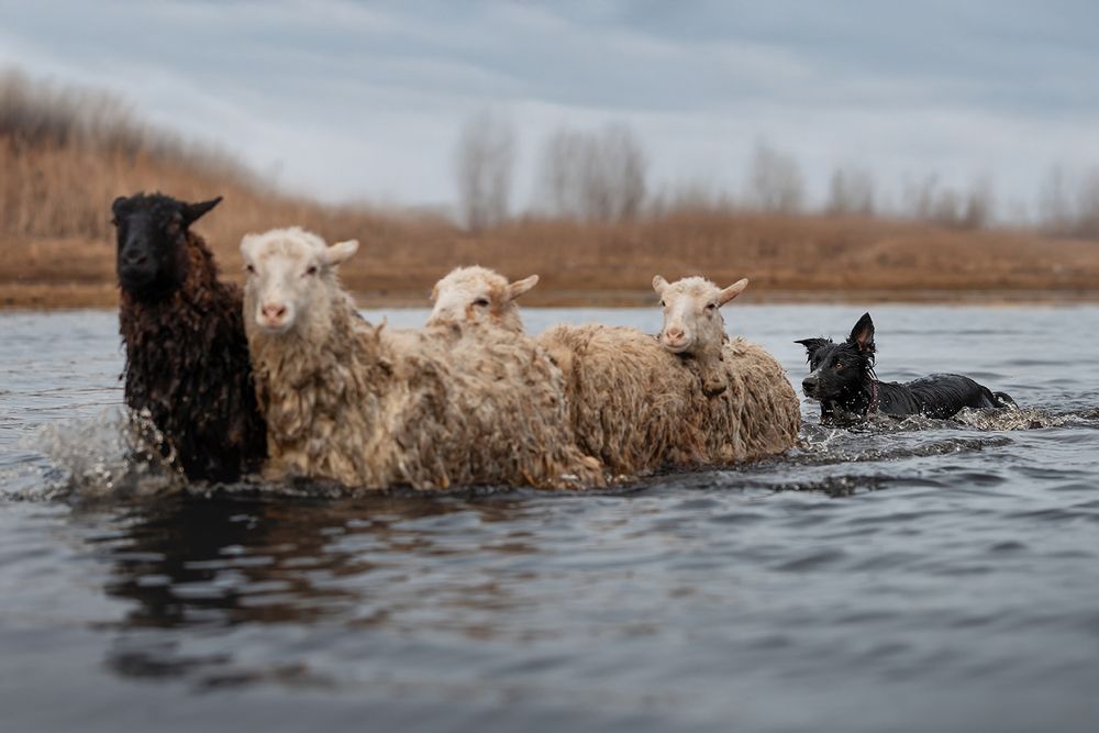 Photograph by Ольга Легенькая
