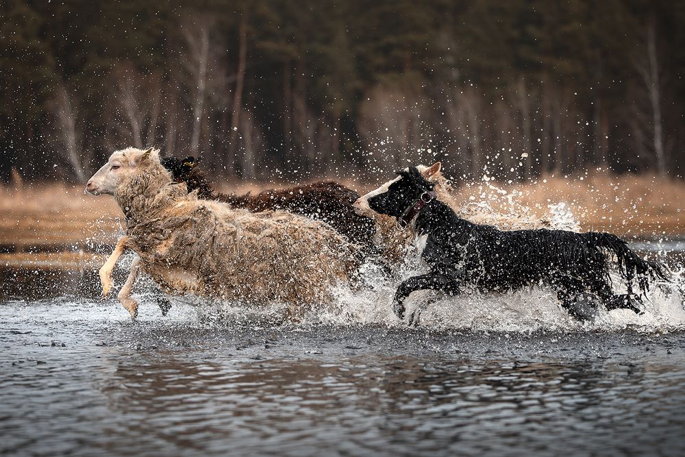 Photograph by Ольга Легенькая