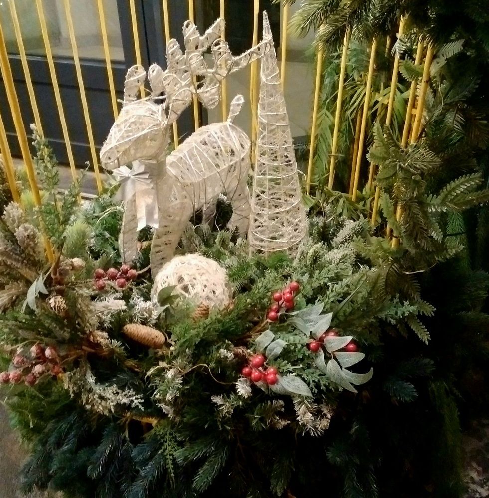 Photograph by Васильева Львовна