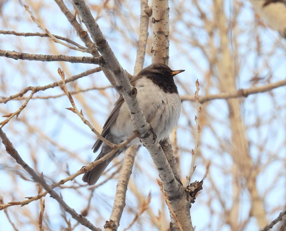 Photograph by Александр Прядко