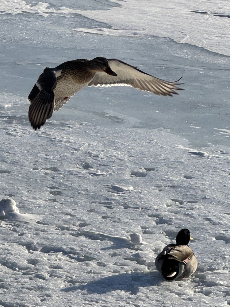 Photograph by Ксения Юртаева