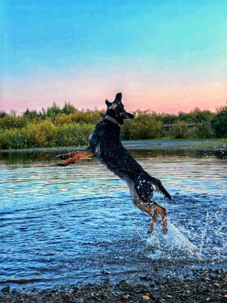 Photograph by Анна Якубинас