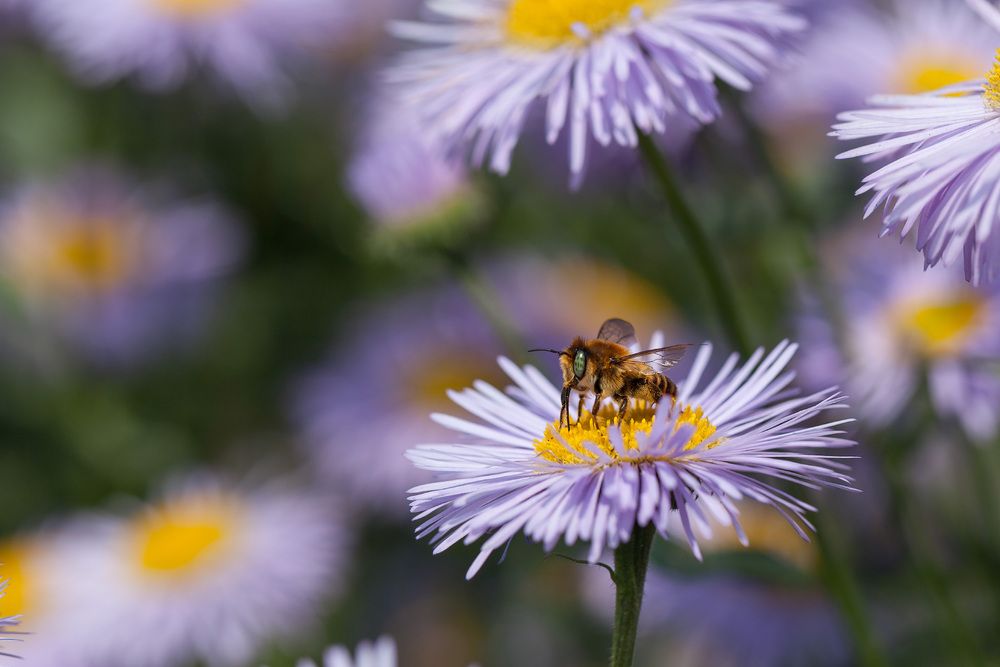 Фотография автора Сергей Молоков