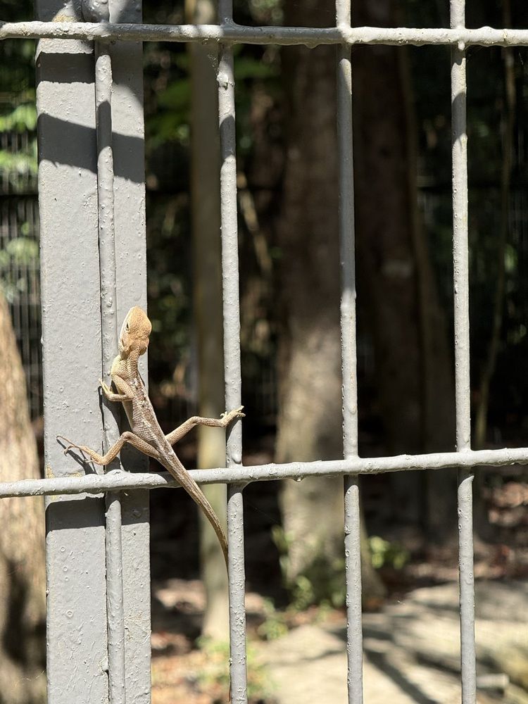 Photograph by оксана