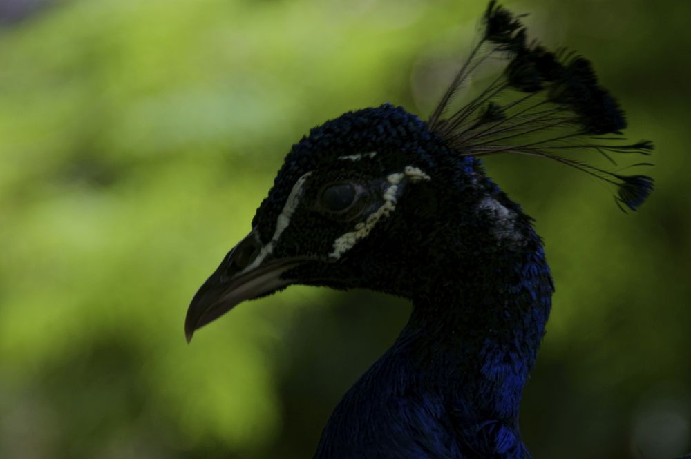 Фотография автора Sergej Roor