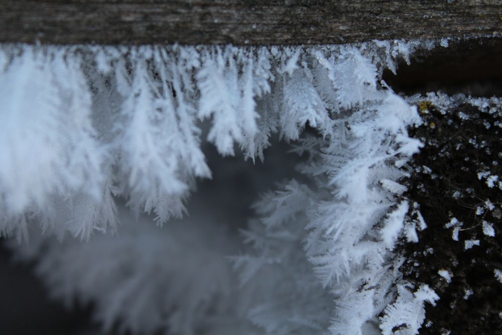 Photograph by Юлия