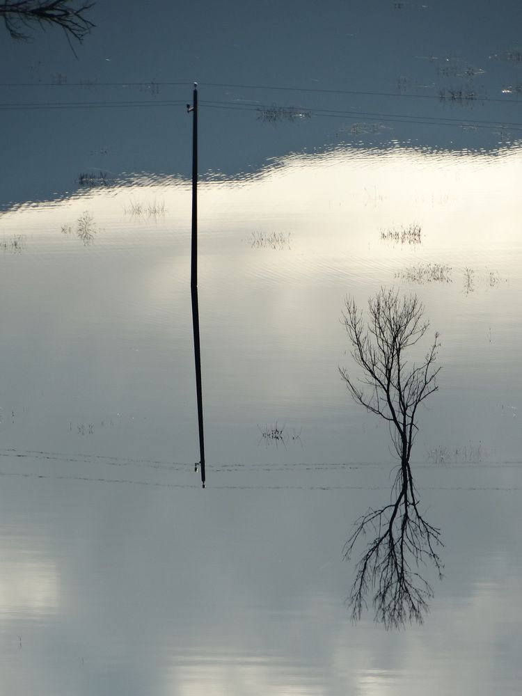 Фотография автора Ivan Ćetković