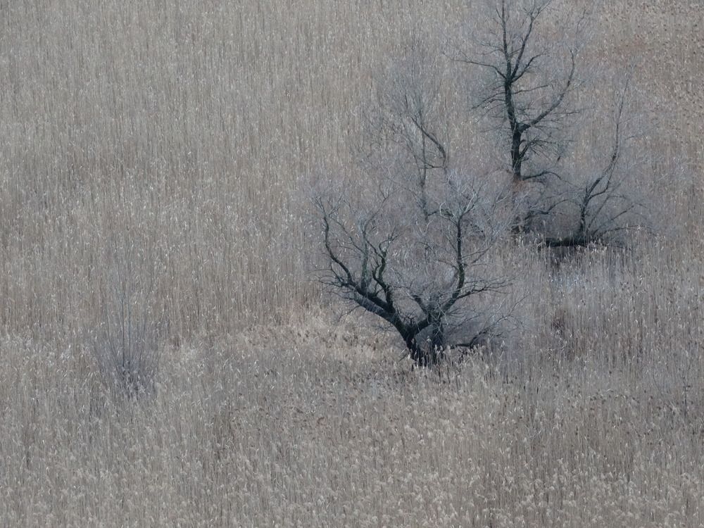 Фотография автора Ivan Ćetković