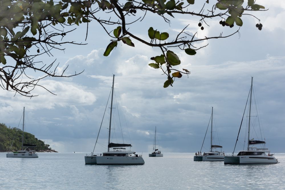 Фотография автора Sophie Abuhazera