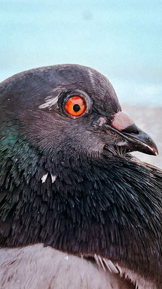Photograph by Татьяна Михайлова