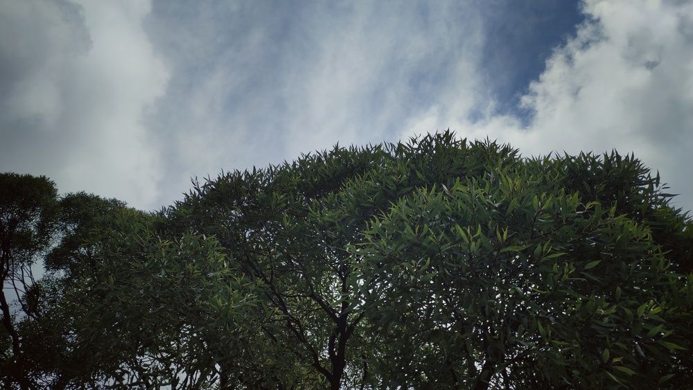 Photograph by Калюнова Наталья