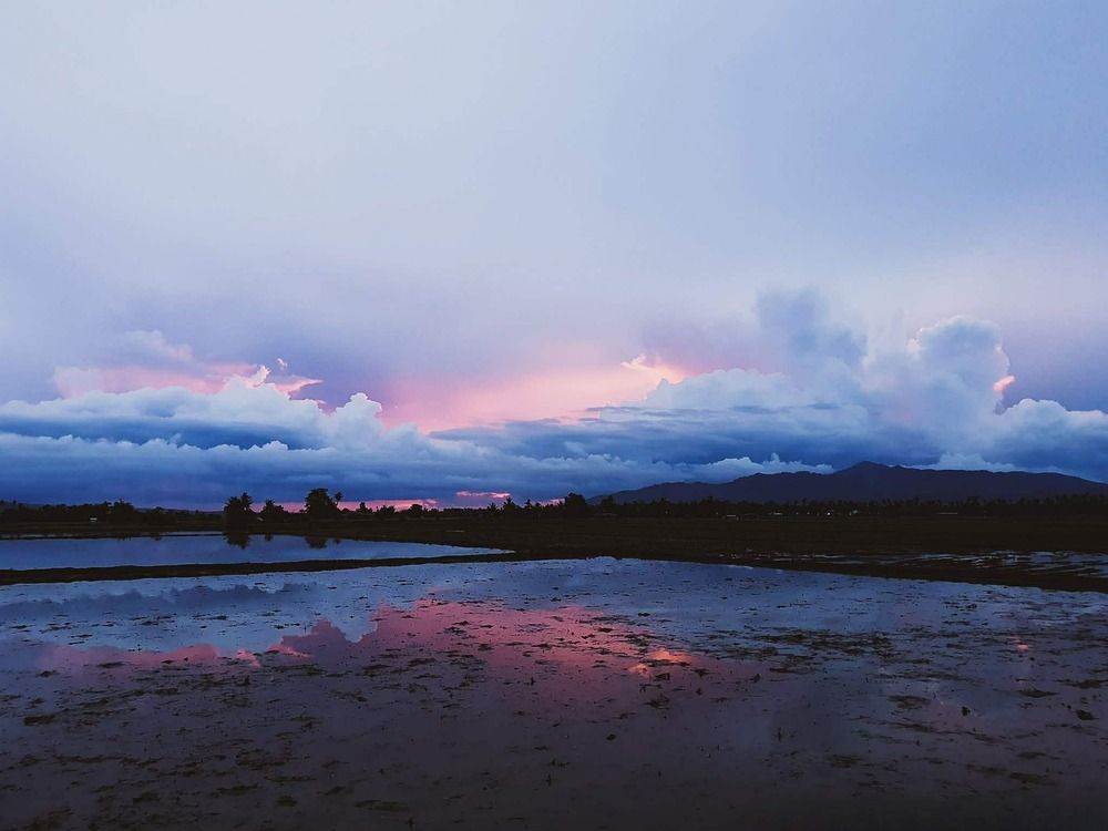 Photograph by RICHARD BRIONES