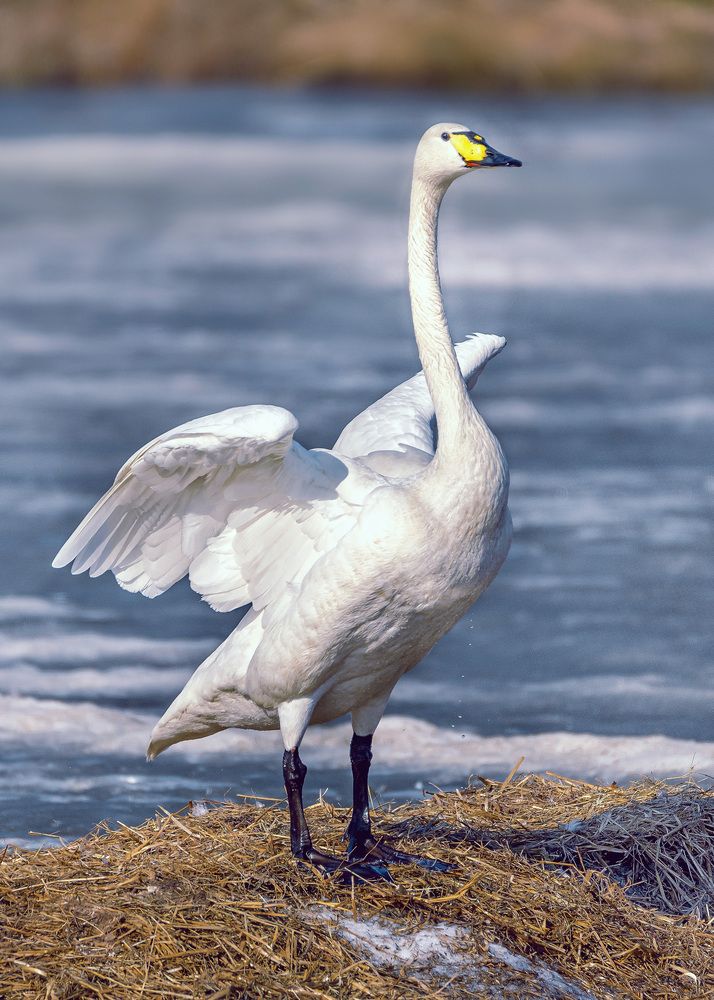 Photograph by Белевитин Михаил