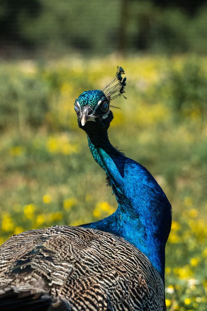 Photograph by Елена Букия