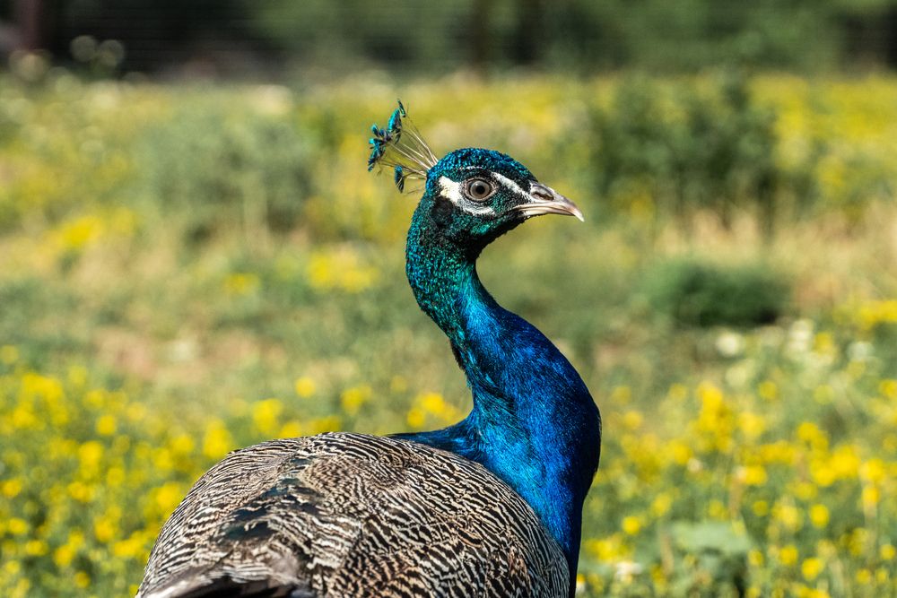 Photograph by Елена Букия