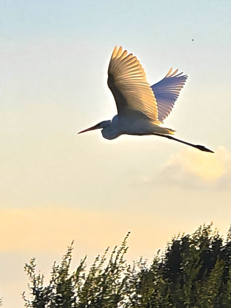 Photograph by Ирина Хлебникова