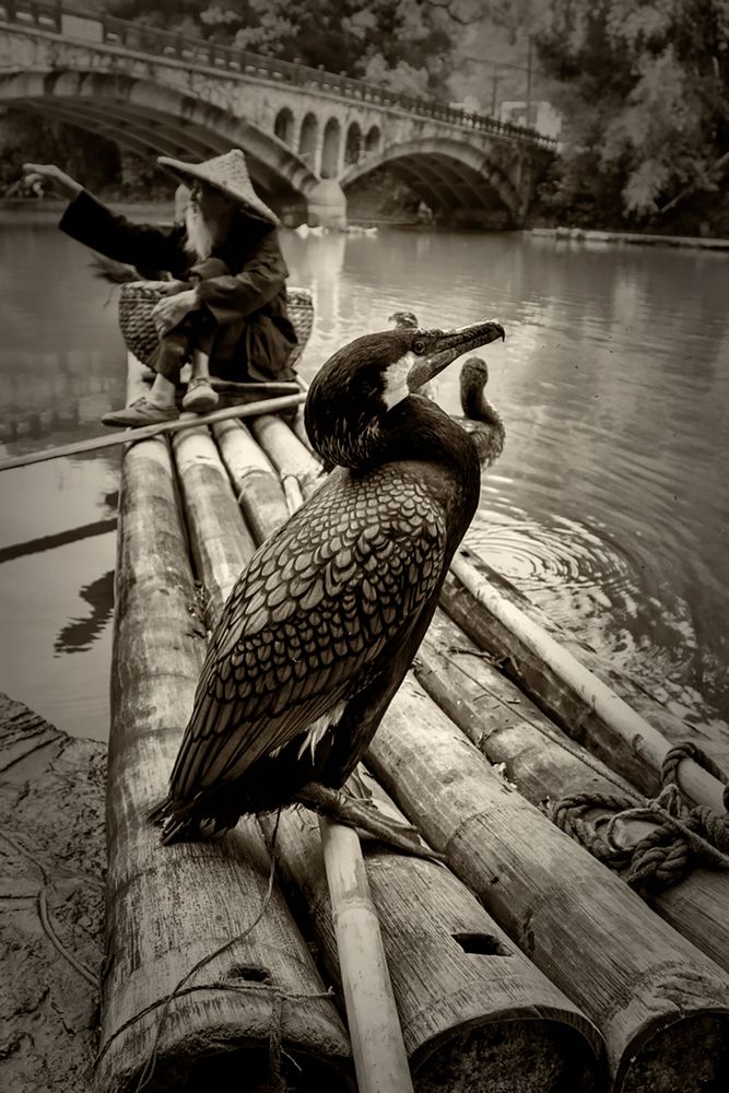 Photograph by Александр Чазов