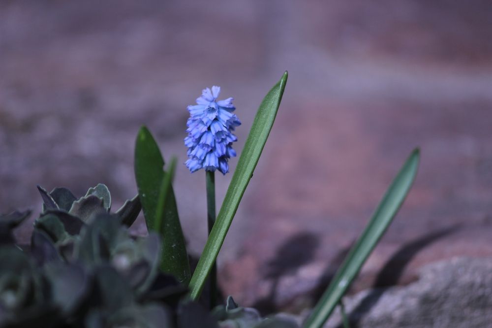 Photograph by Екатерина Александровна